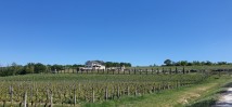 Kabola Weingut 